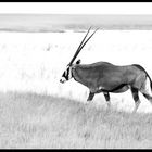 Etosha Nationalpark