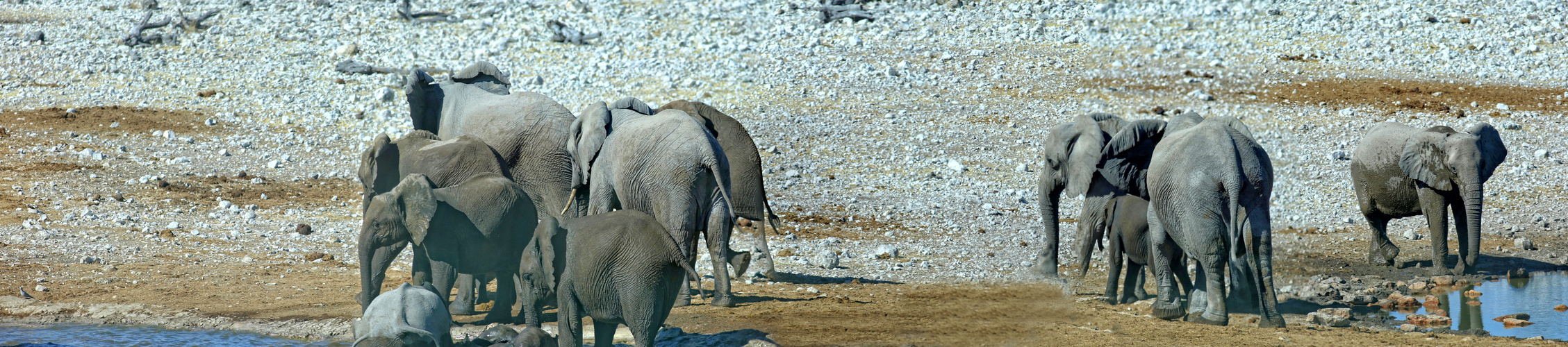 Etosha Nationalpark