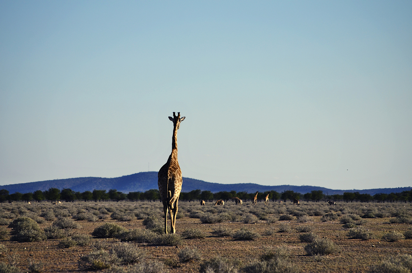 Etosha- Nationalpark