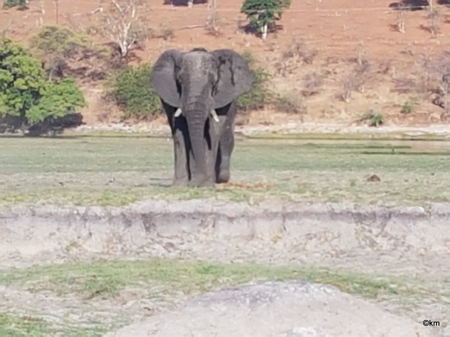 Etosha Nationalpark