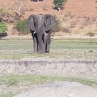 Etosha Nationalpark