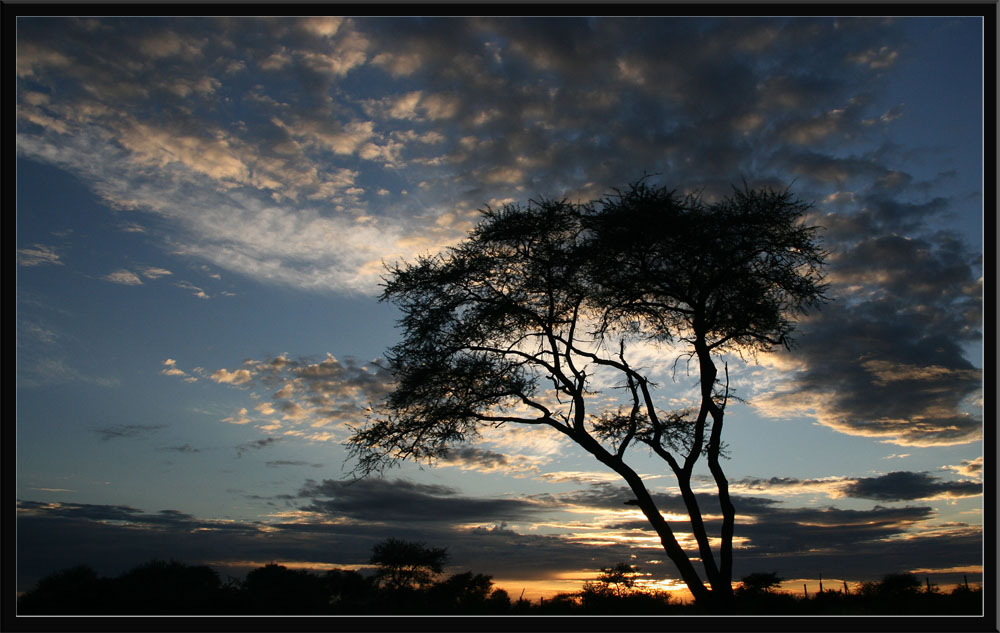 Etosha Nationalpark - Sonnenaufgang