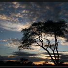 Etosha Nationalpark - Sonnenaufgang