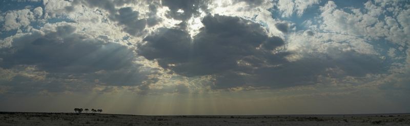 Etosha-NP