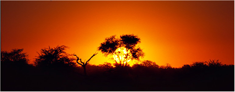 Etosha NP01