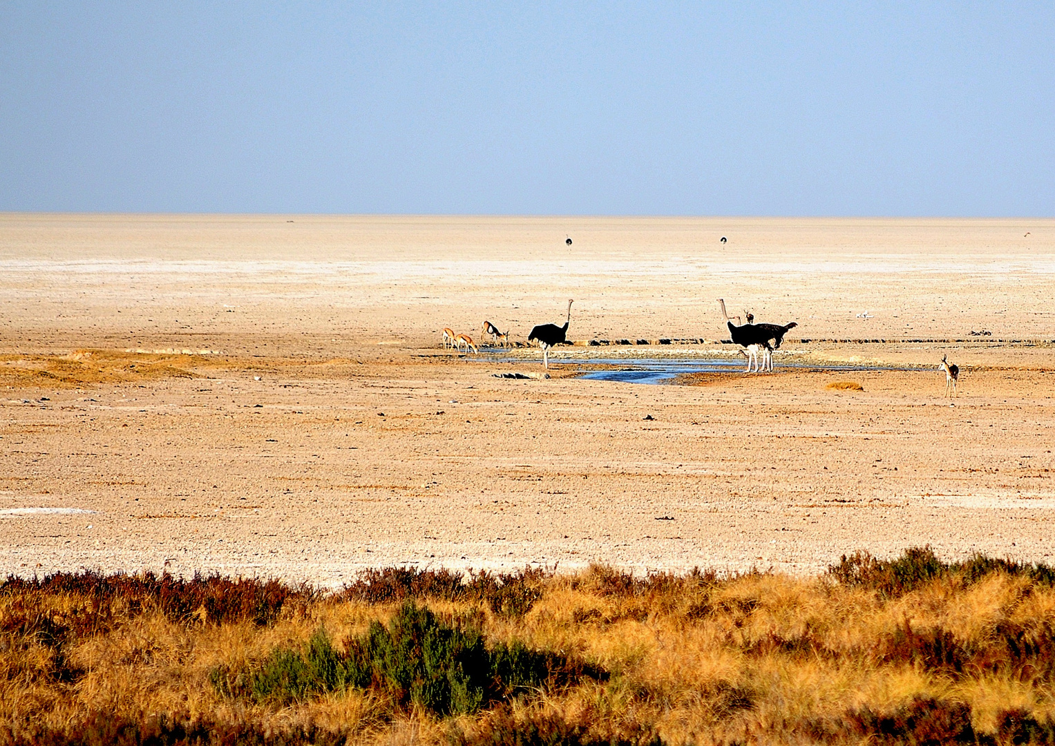 Etosha Pan