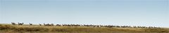 Etosha Panorama