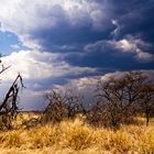 Etosha-Park