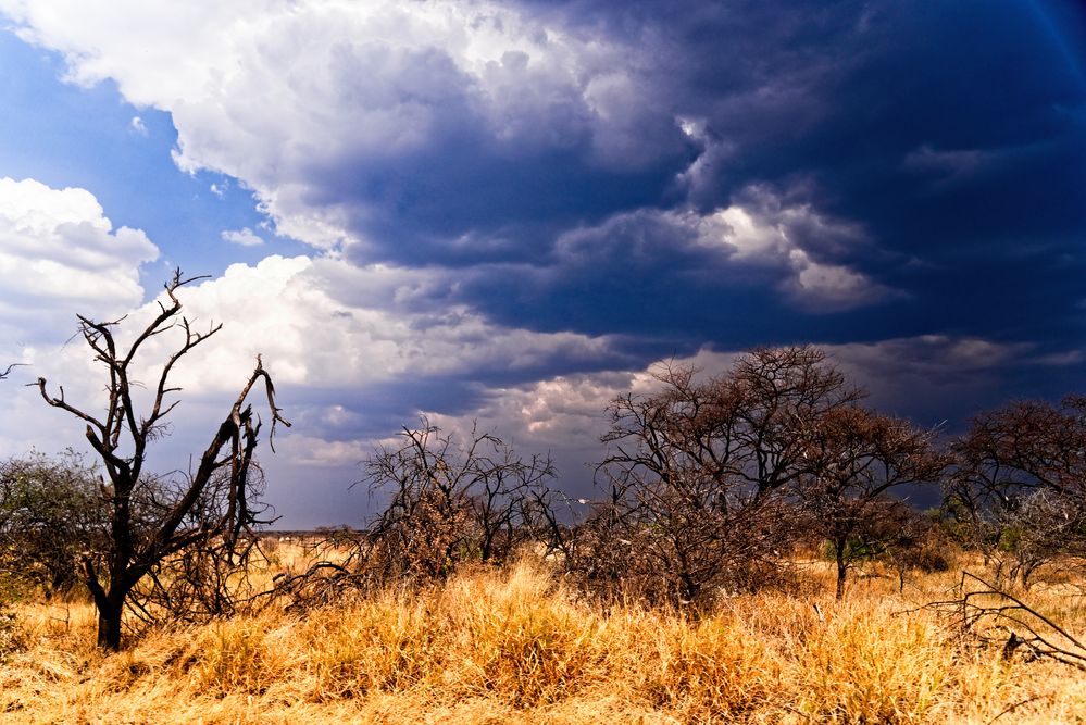 Etosha-Park