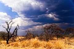 Etosha-Park