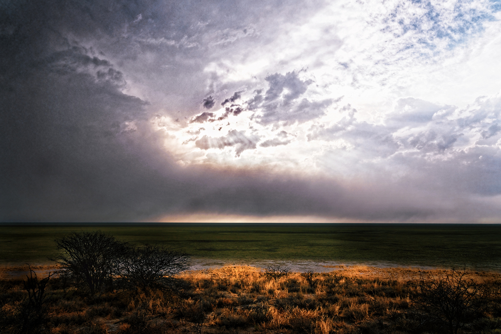 Etosha-Park, Namibia