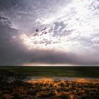 Etosha-Park, Namibia