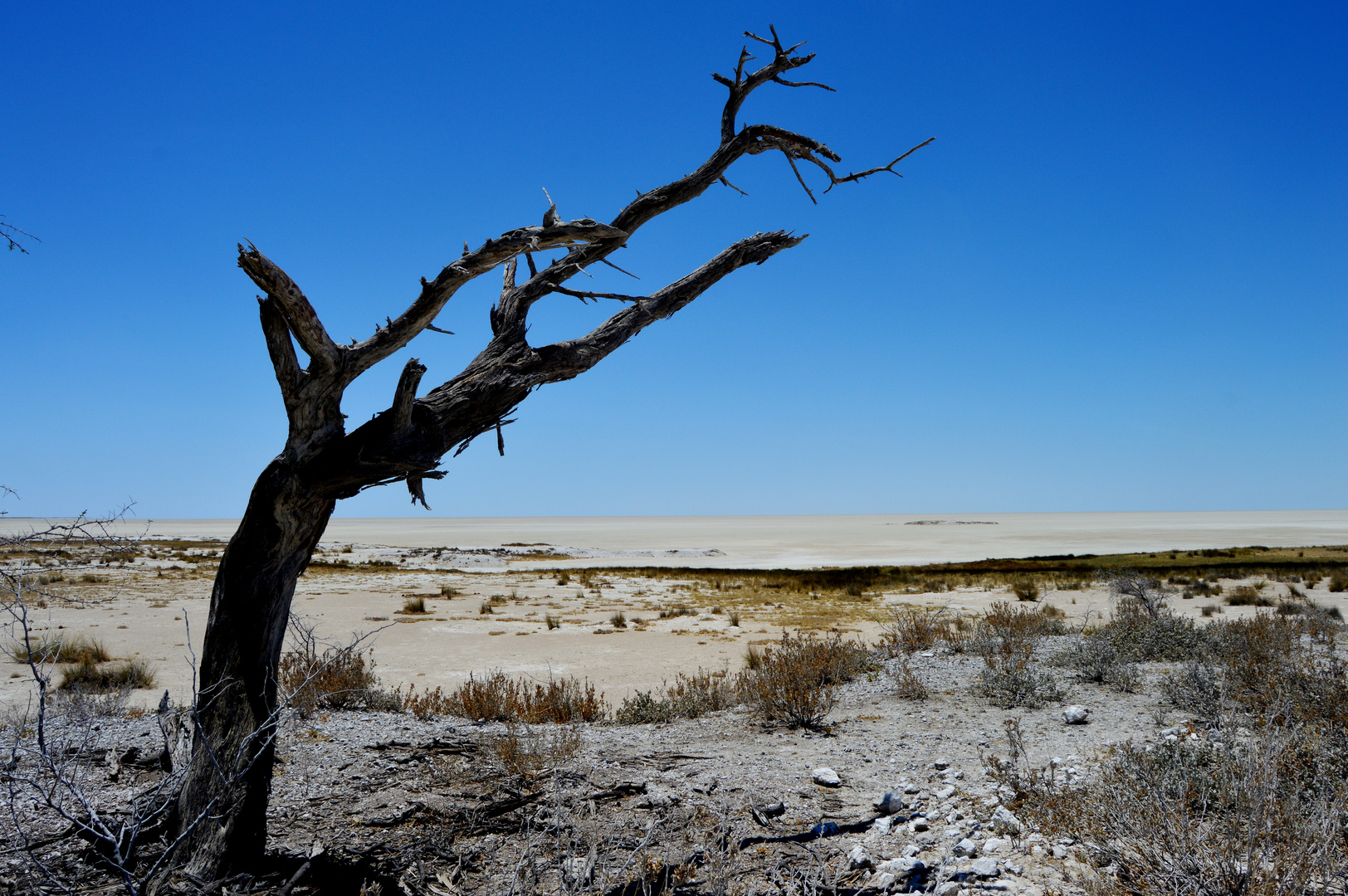 Etosha-Pfanne