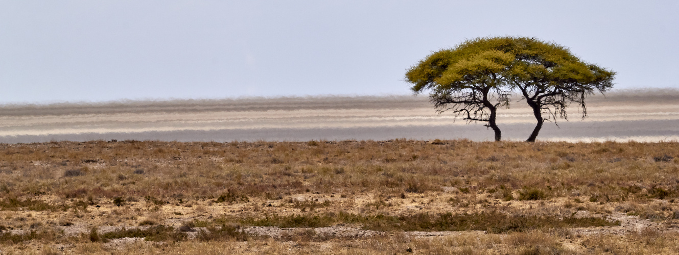 Etosha-Pfanne