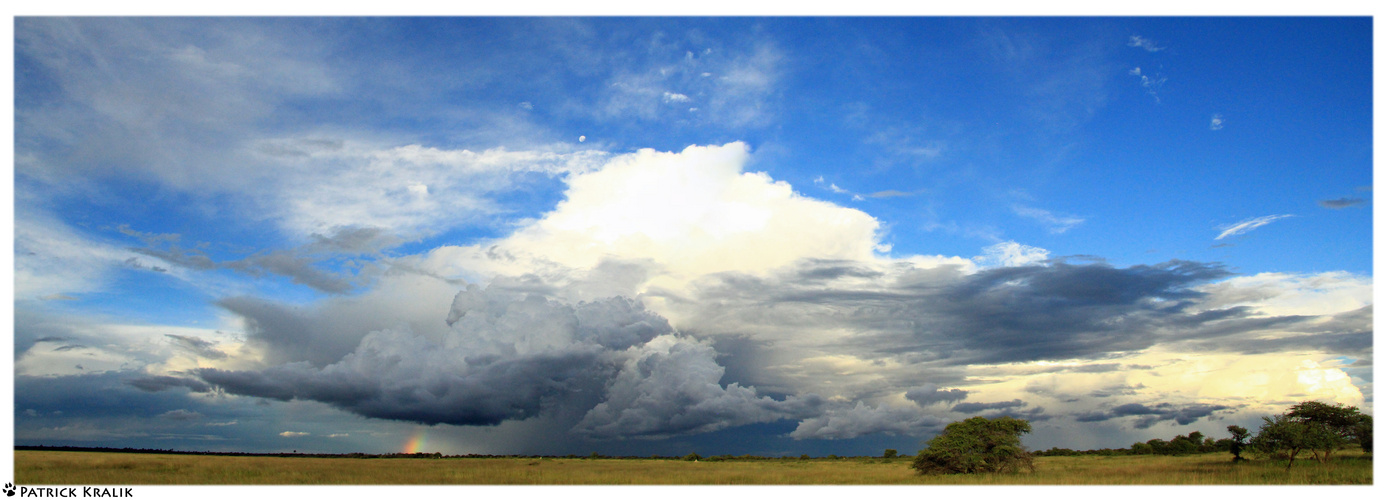 Etosha Rain