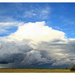 Etosha Rain