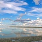 Etosha Reflektionen