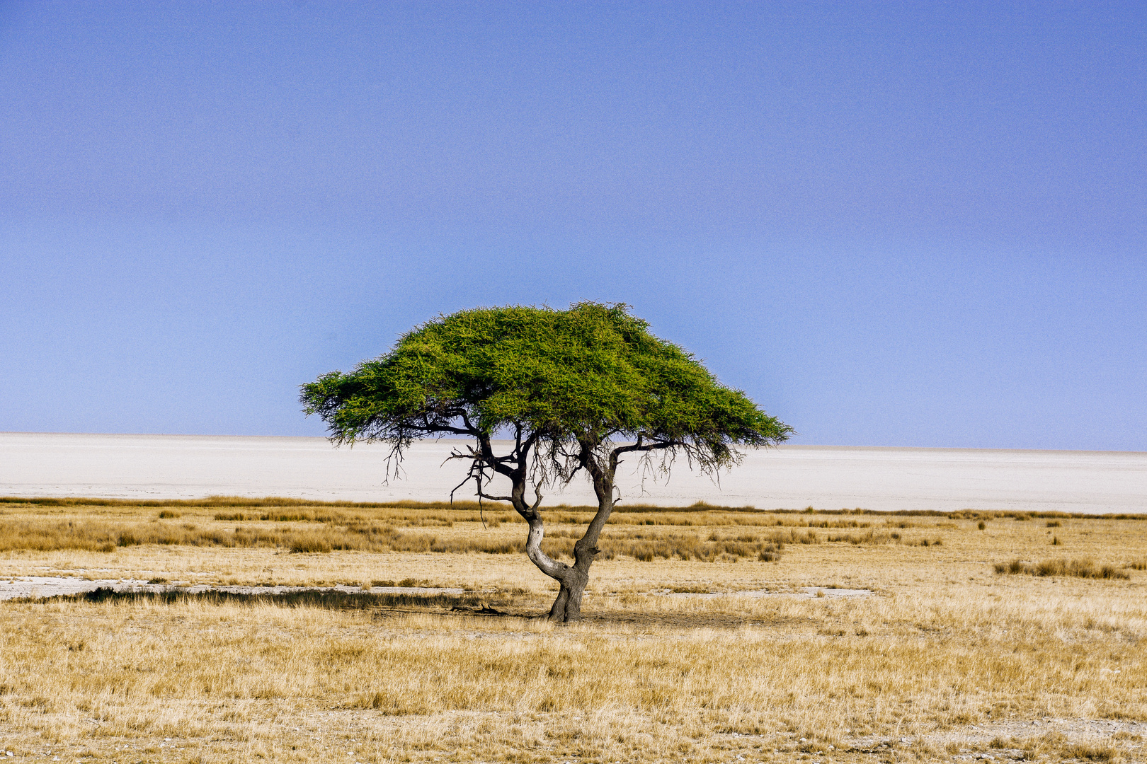 Etosha Salzpfanne