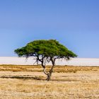 Etosha Salzpfanne