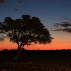 Etosha Sonnenuntergang