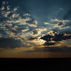 Etosha Sunblast