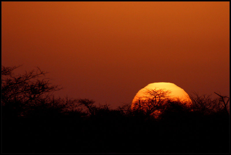 Etosha Sundown