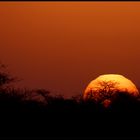 Etosha Sundown