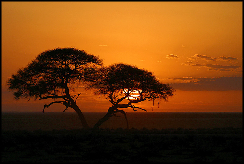 Etosha Sunrise