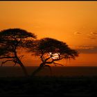 Etosha Sunrise