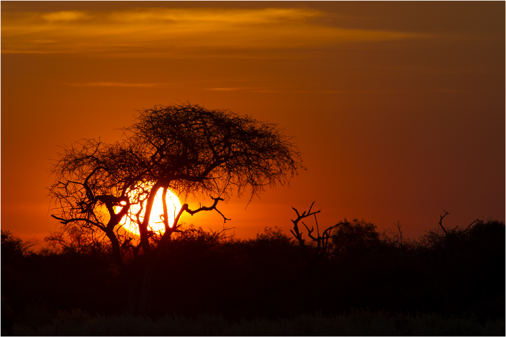 Etosha Sunrise