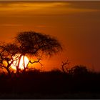 Etosha Sunrise