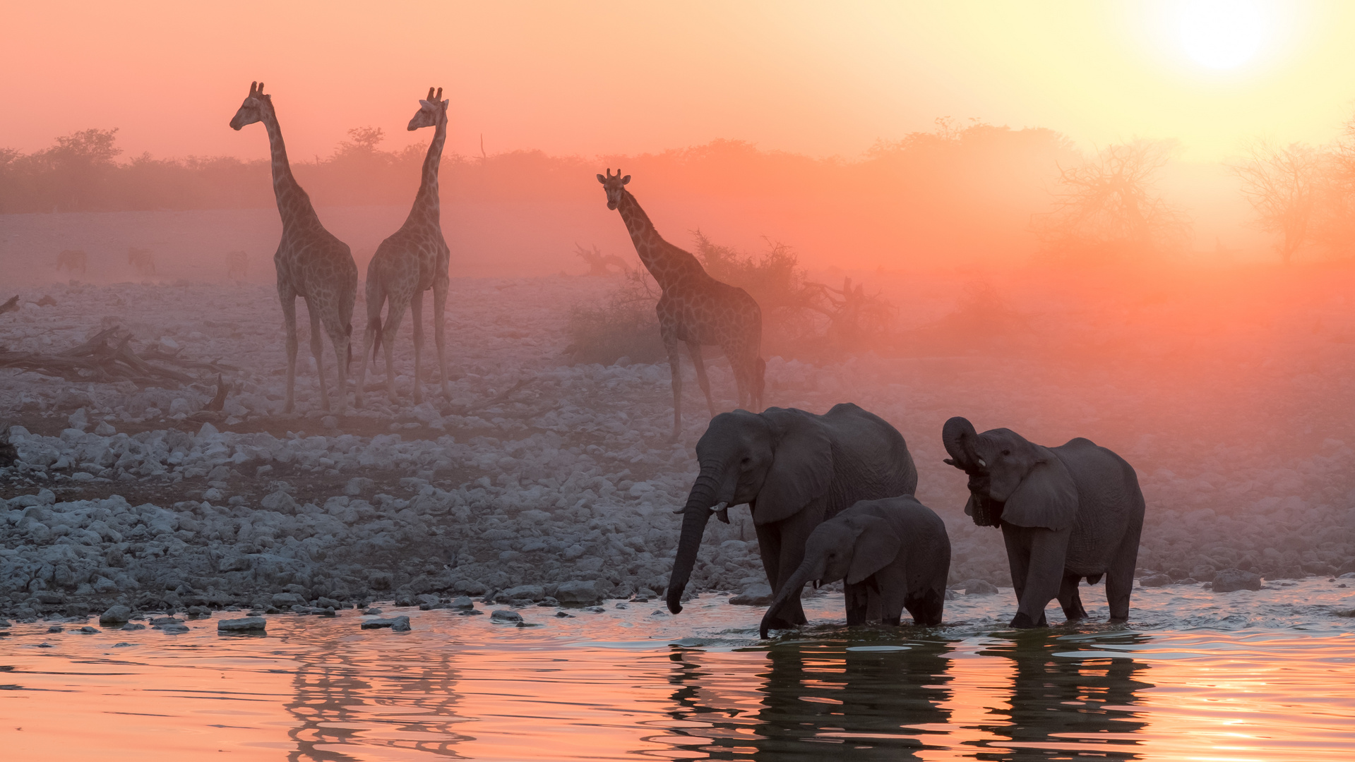 Etosha sunset