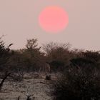 Etosha Sunset