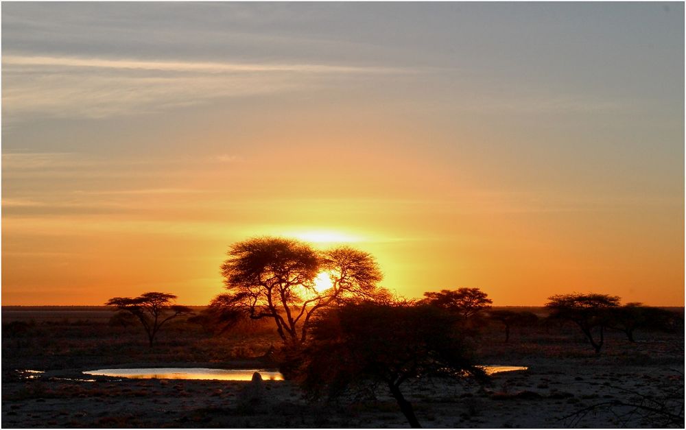 Etosha Sunset