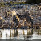 Etosha Waterhole