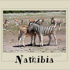 Etosha Wildlife