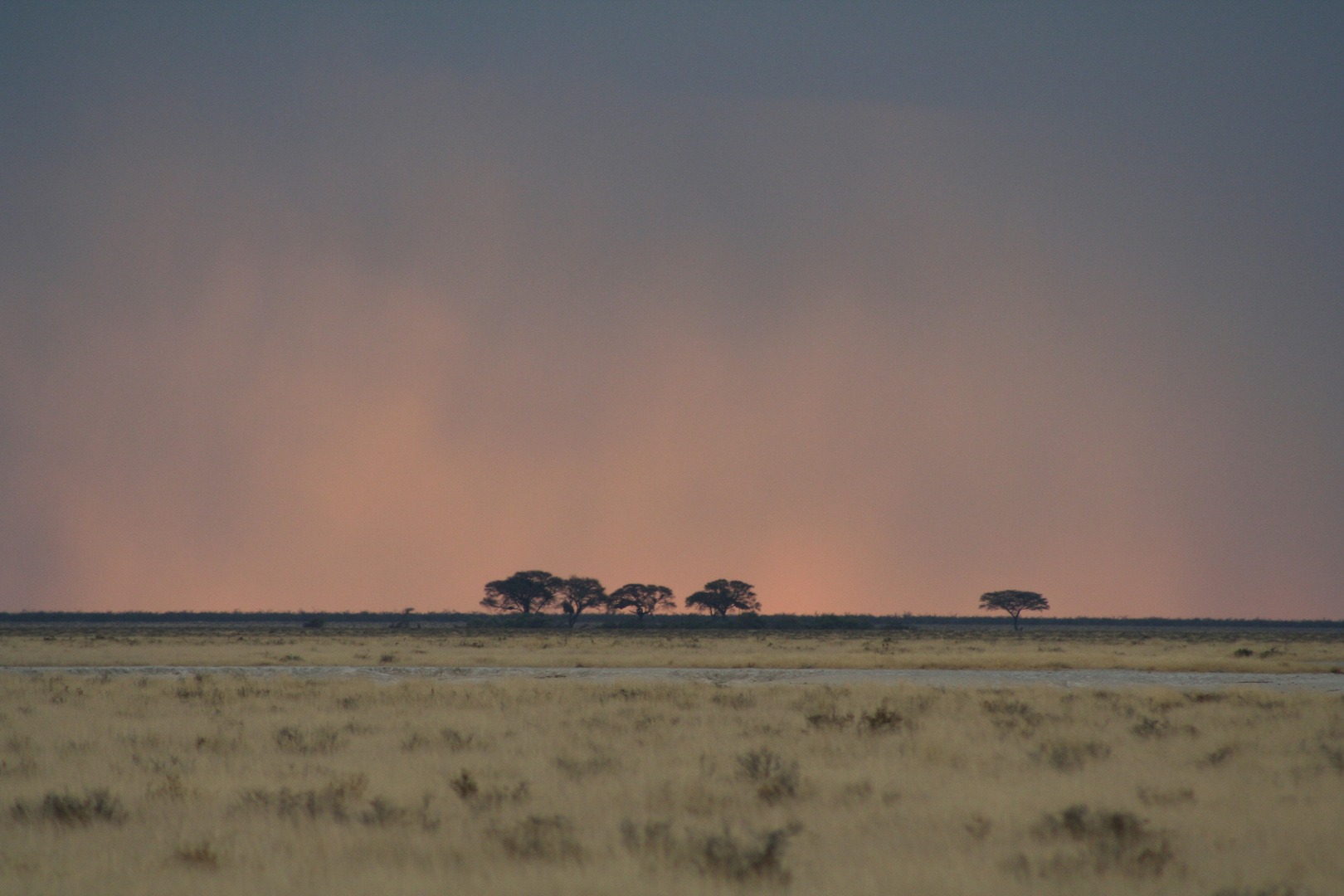 etosha1