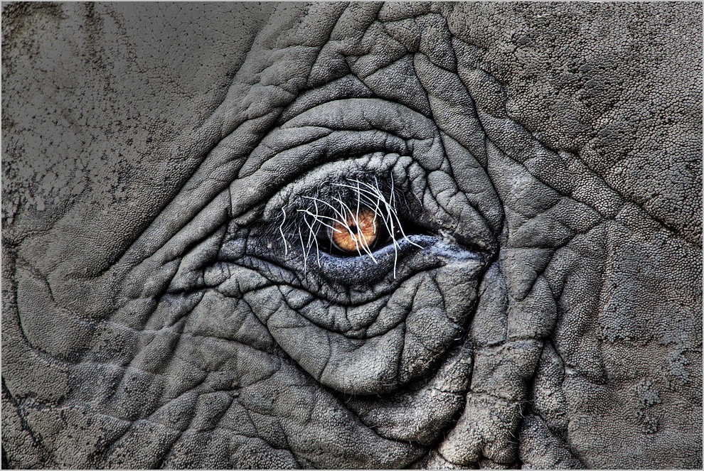 Etosha´s Eye