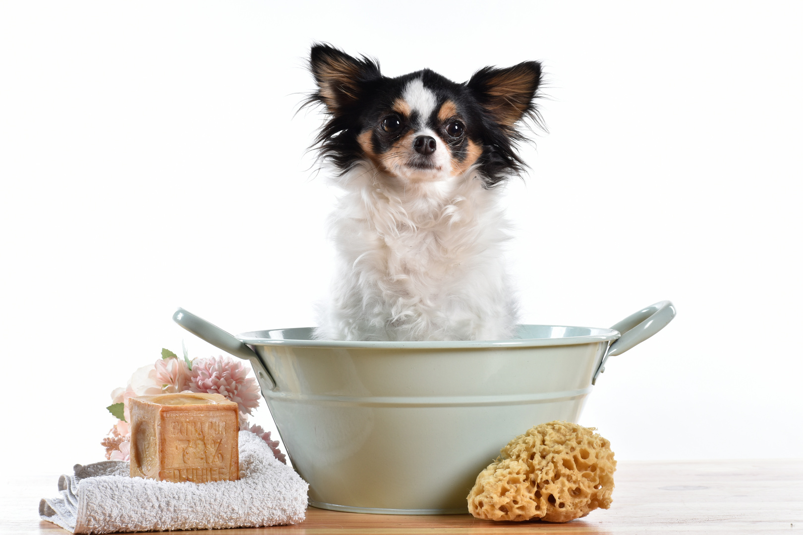 Etre dans le bain et avoir du chien!