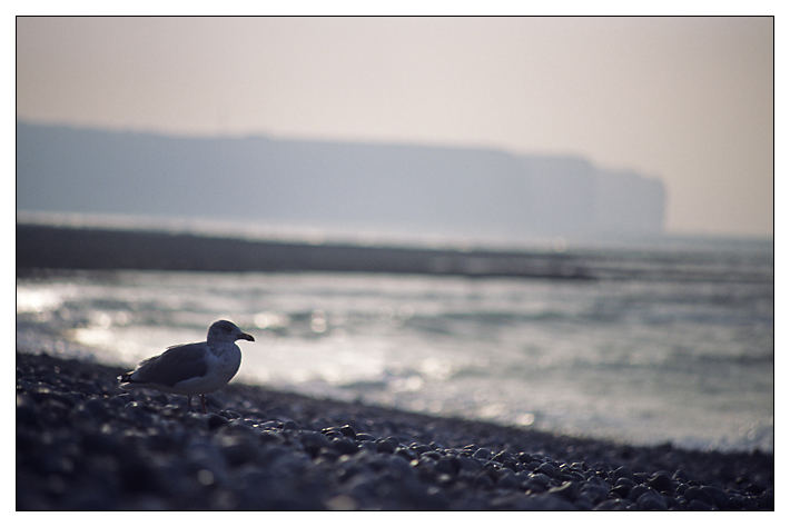 Etretat 05