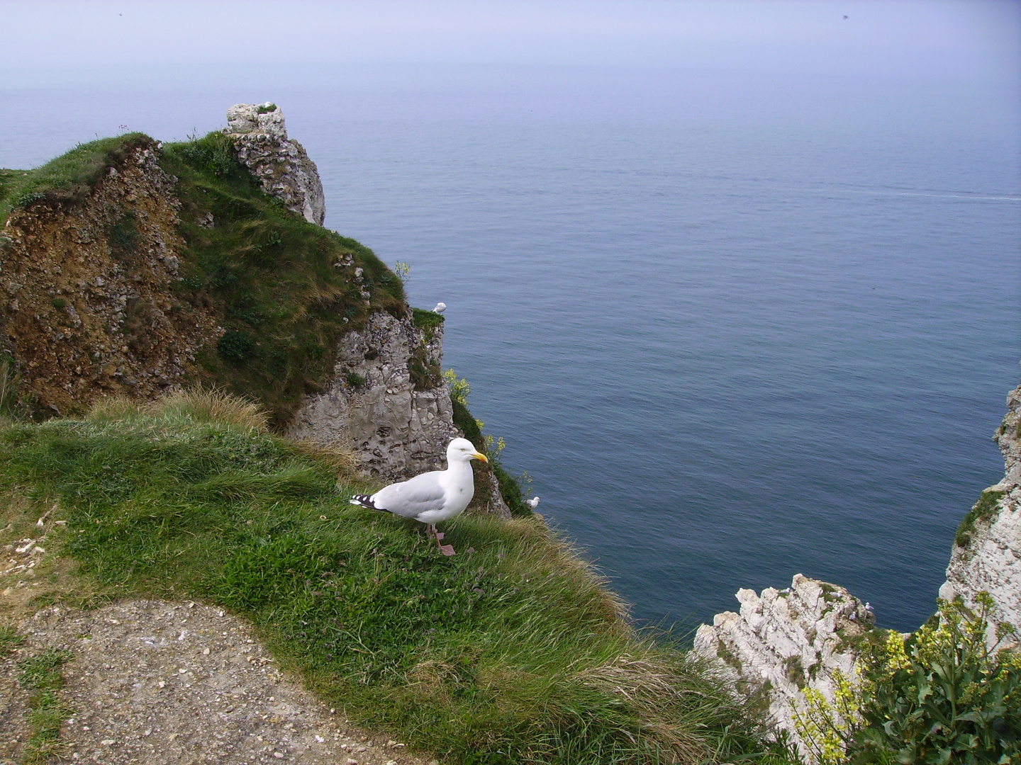 etretat