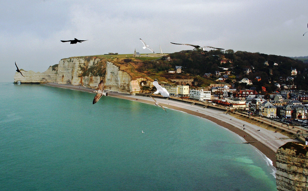 Etretat et ses mouetes