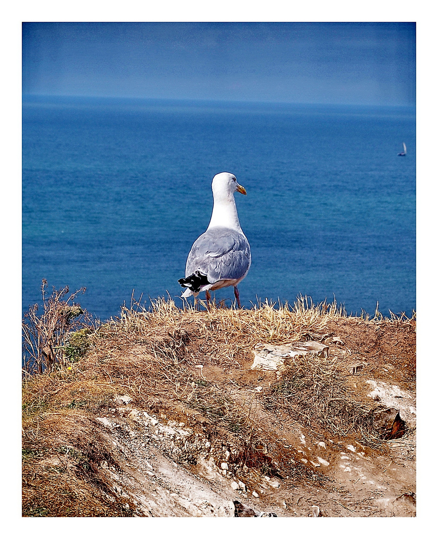 Etretat - Hte Normandie (8)