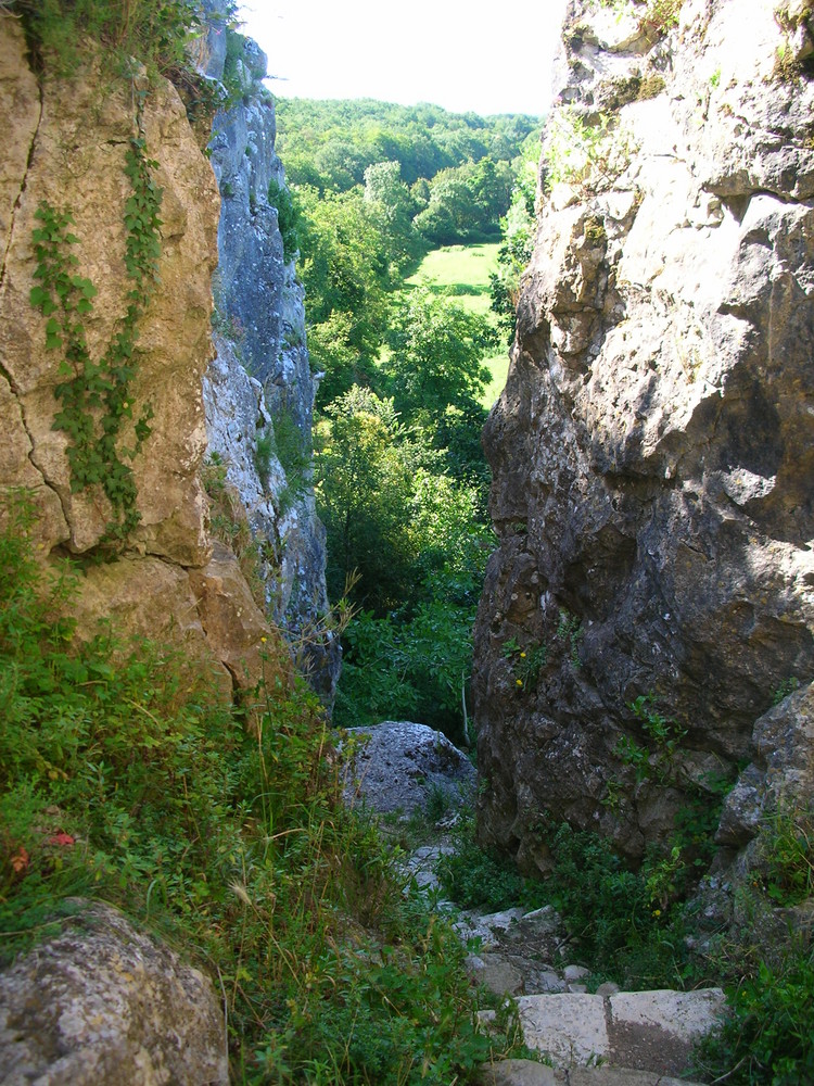 Etroit passage de verdure