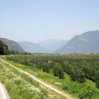 Etschradweg in Südtirol --