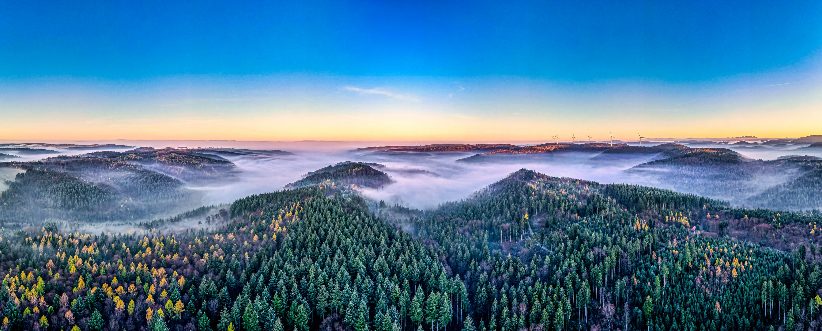 Ettenheim Herbst 2020 Nebelstimmung 