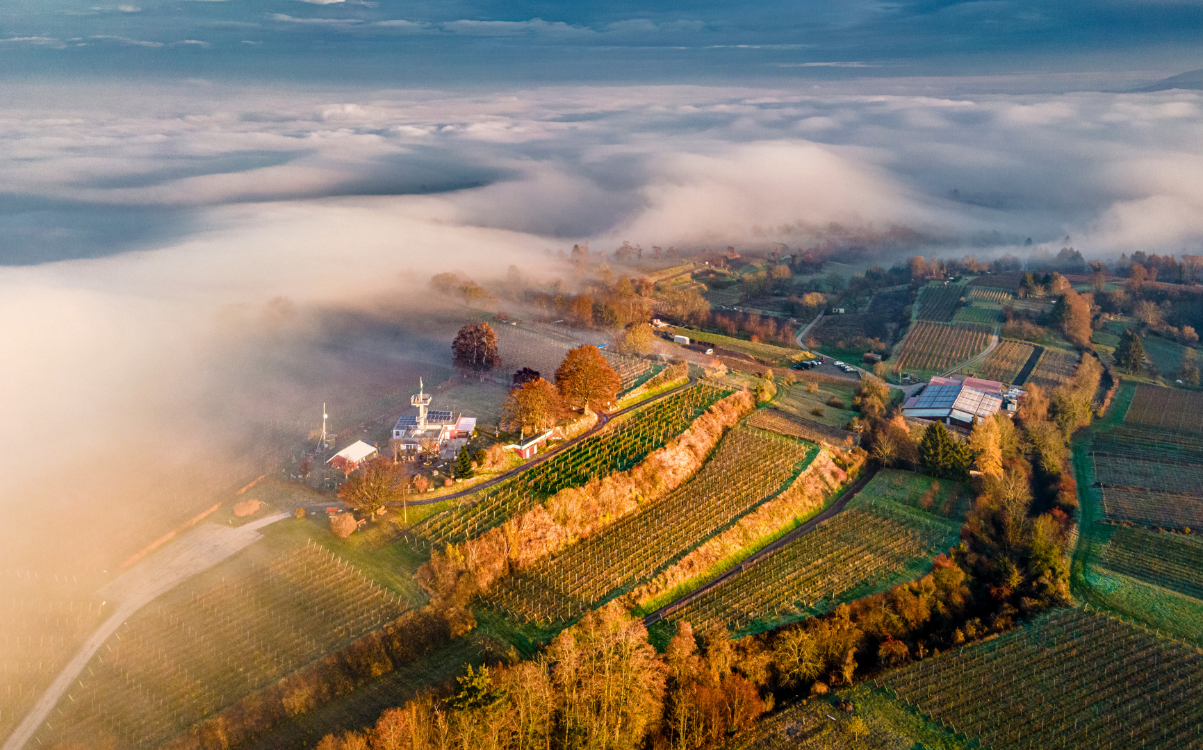 Ettenheim-Heuberg Nebelstimmung 2020