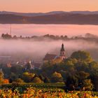 Ettenheim im Herbst