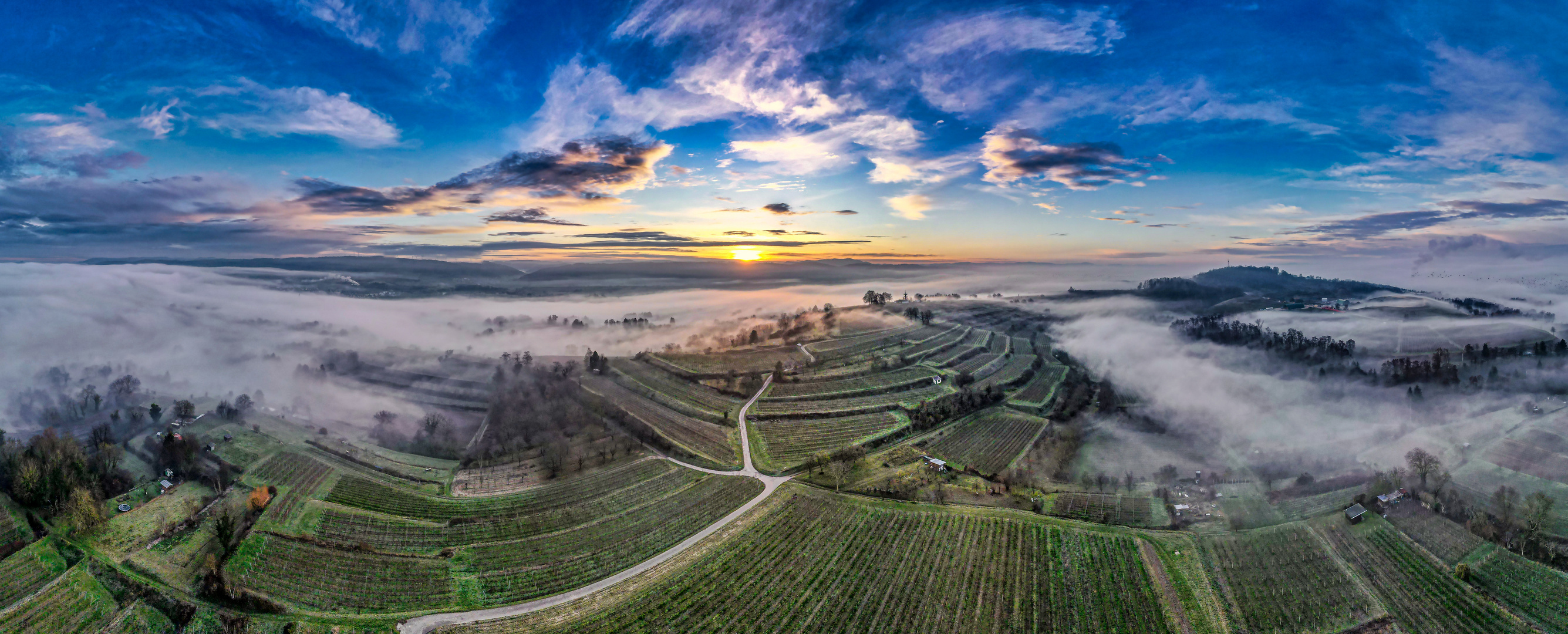 Ettenheim Weinberge Panorama 