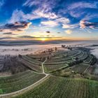 Ettenheim Weinberge Panorama 